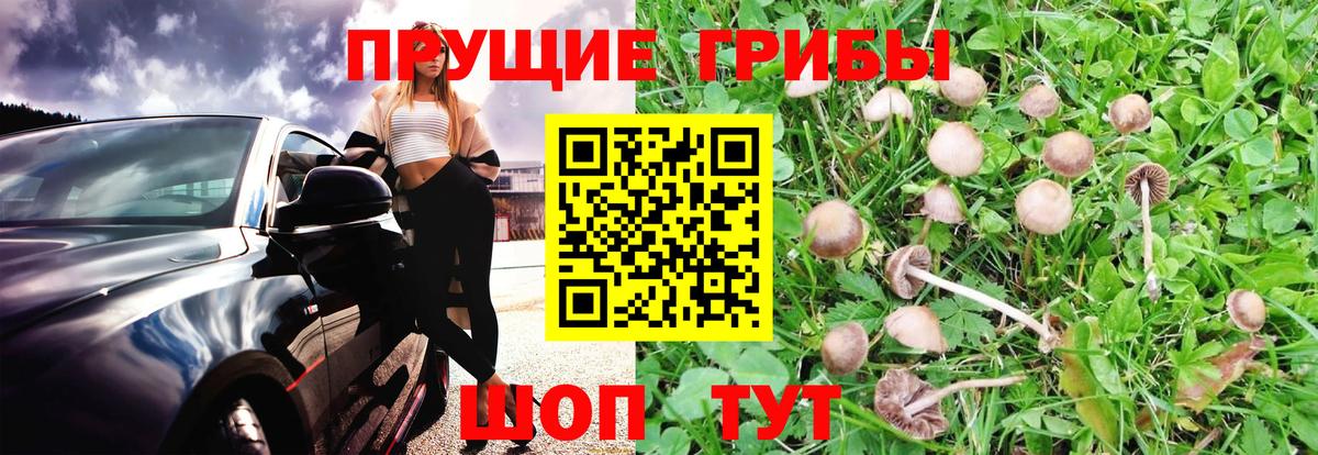 Псилоцибиновые грибы ЛСД  Вход с VPN  Подольск 