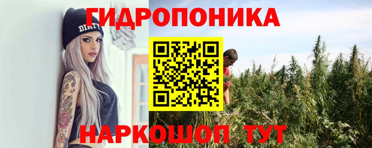 Каннабис тримм  Каннабис Amnesia  Вход с VPN  Подольск  Марихуана план 